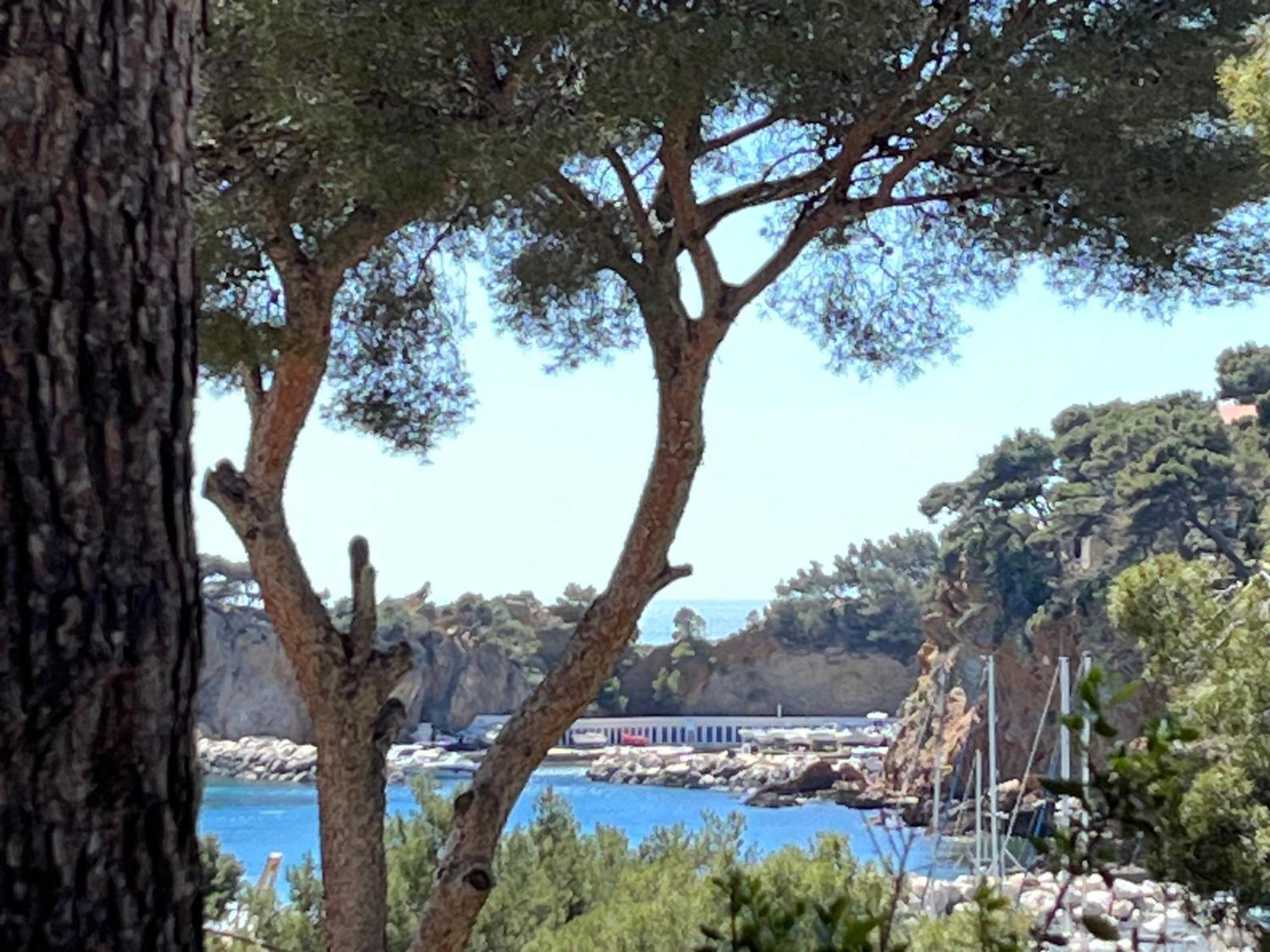 La Casa Calanquaise - Mer A 250M Accessible A Pied - T2 Spacieux Independant - Terrasse Ombragee Ensues-la-Redonne Eksteriør bilde